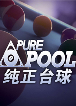 纯正台球