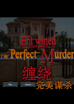 缠绕2:完美谋杀