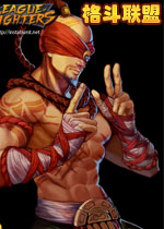 格斗联盟PC破解版