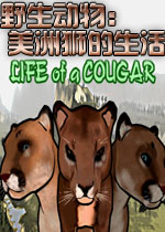 野生动物：美洲狮的生活PC破解版