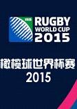 橄榄球世界杯赛2015PC破解版