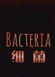 细菌BacteriaSTEAM破解版