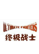 终极战士PC破解版