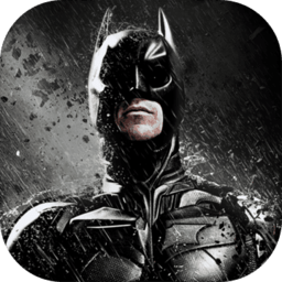 蝙蝠侠黑暗骑士崛起游戏正版