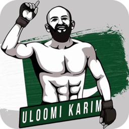 跆拳道拳王游戏