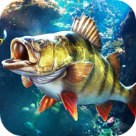欢乐钓鱼大师渠道包正版