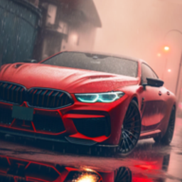 驾驶学校模拟Driving School Sim无限金币版