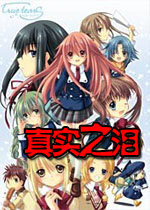真实之泪(true tears)中文硬盘版