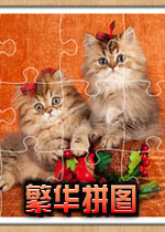 繁华拼图硬盘版