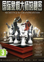 国际象棋大师的秘密绚丽多彩的背景选择