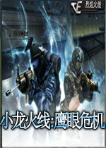 小龙火线:鹰眼危机