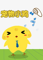 宠物小鸡