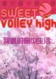 甜蜜高中生活英文版