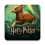 Harry Potter(哈利波特霍格沃茨之谜2020)