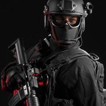 严阵以待游戏手机版