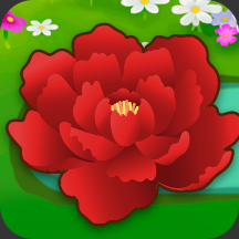 锦上添花赚钱软件