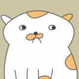 主播和猫的故事免广告