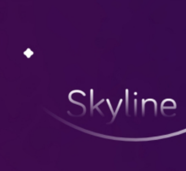 skyline模拟器安卓版