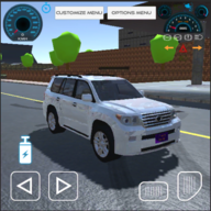 陆地巡洋舰海力士汽车游戏(Land Cruiser Hilux Car Game 2021)
