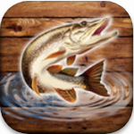 鱼雨钓鱼模拟器游戏无限金币