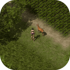 失落传奇免广告版(legend of lost)