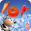 宝贝牛蔬菜认知app