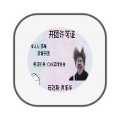 ikun考试正式版Ⅰ