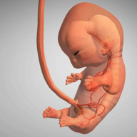 9个月无限钻石版