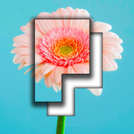 Pictominoes破解版