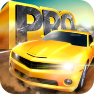 跑车停车场游戏(Real Sport Car Parking: Pro)