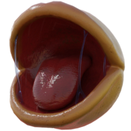 吃豆人rtx去广告版(Pac-Man)