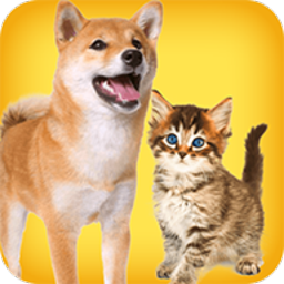 人狗猫交流器app