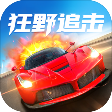 狂野追击游戏