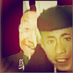 老八VS怪鸽游戏