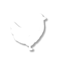 顽皮鸡Cheeky Chooks安卓版