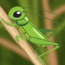 蝗灾模拟器游戏