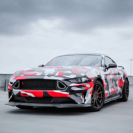 停车场司机驾驶游戏