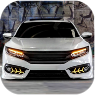 公民驾驶无限金币版