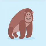 金刚牛牛向前冲手游