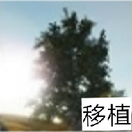 树木模拟器2021游戏