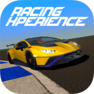 真实赛车体验版(Racing Xperience)