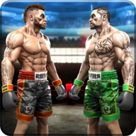 Real Shoot Boxing 2021(实时拳击比赛2021游戏中文版)