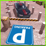 Not Easy Parking(停车不方便游戏)