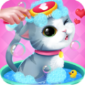 迷你城市猫狗乐园游戏