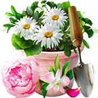 FLORIA(佛罗里达虚拟花园游戏)