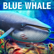 Blue Whale Simulator(蓝鲸模拟器游戏)