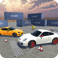Sports Car Parking(特技停车大师游戏)