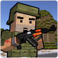 Block Soldier Survival Games(像素机器人大乱斗游戏)