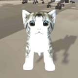 办公室的猫咪游戏