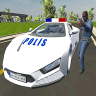 Real Police Car Game(豪华警车2021游戏)